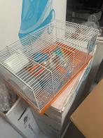 Nieuwe hamsterkooi met toebehoren en hamertoilet, Kooi, Minder dan 75 cm, Zo goed als nieuw, Hamster