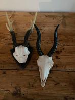 Stoere ornamenten, Huis en Inrichting, Woonaccessoires | Overige, Verzenden, Zo goed als nieuw