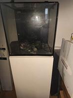 Aquarium Red Sea Nano 75, Dieren en Toebehoren, Vissen | Aquaria en Toebehoren, Ophalen of Verzenden, Zo goed als nieuw, Leeg aquarium