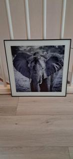 Schilderij olifant 0.50 bij 0.50, Audio, Tv en Foto, Fotografie | Digitale fotolijsten, Ophalen of Verzenden, Zo goed als nieuw