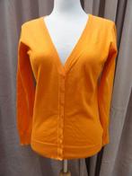 Oranje stretch vest - maat S, Oranje, Maat 38/40 (M), Ophalen of Verzenden, Zo goed als nieuw