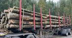 stamhout machine hout eiken beuken essen, Tuin en Terras, Haardhout, Minder dan 3 m³, Ophalen, Stammen