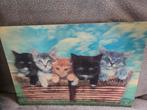 3d kattenwanddeco, Huis en Inrichting, Ophalen, Minder dan 50 cm, Schilderij, Minder dan 50 cm
