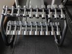Technogym verchroomde dumbbellset (nieuwstaat), Ophalen, Zo goed als nieuw, Metaal, Overige typen