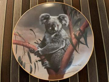 Wandbord: The Koala beschikbaar voor biedingen
