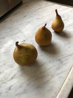 Biologische Peren, stoofperen, grieser wildeman,, Diversen, Ophalen of Verzenden