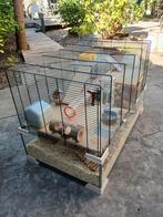 Hamsterkooi groot en uitgebreid, Minder dan 60 cm, Kooi, Gebruikt, Ophalen of Verzenden