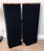 DCM - QED Transmissielijn vloerstaanders, Gebruikt, 60 tot 120 watt, Front, Rear of Stereo speakers, Ophalen