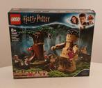 Lego Harry Potter 75967 - Verboden Bos, Ophalen of Verzenden, Zo goed als nieuw, Complete set, Lego