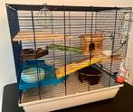 Kooi hamster + ren + vervoerbox + nestspul/hooi/bodemkatoen, Dieren en Toebehoren, Minder dan 60 cm, Kooi, Gebruikt, Minder dan 75 cm