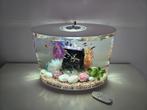 BiOrb LOOP 30 MCR volledig ingericht, Ophalen, Zo goed als nieuw, Gevuld zoetwateraquarium