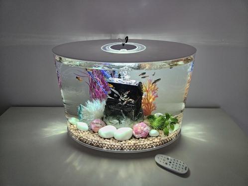 BiOrb LOOP 30 MCR volledig ingericht, Dieren en Toebehoren, Vissen | Aquaria en Toebehoren, Zo goed als nieuw, Gevuld zoetwateraquarium