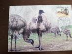 AUSTRALIE 1994; EMOES 2 FOTO'S LEES, Verzamelen, Ansichtkaarten | Buitenland, Verzenden, 1980 tot heden, Gelopen, Buiten Europa