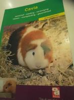De cavia, Ophalen of Verzenden, Zo goed als nieuw