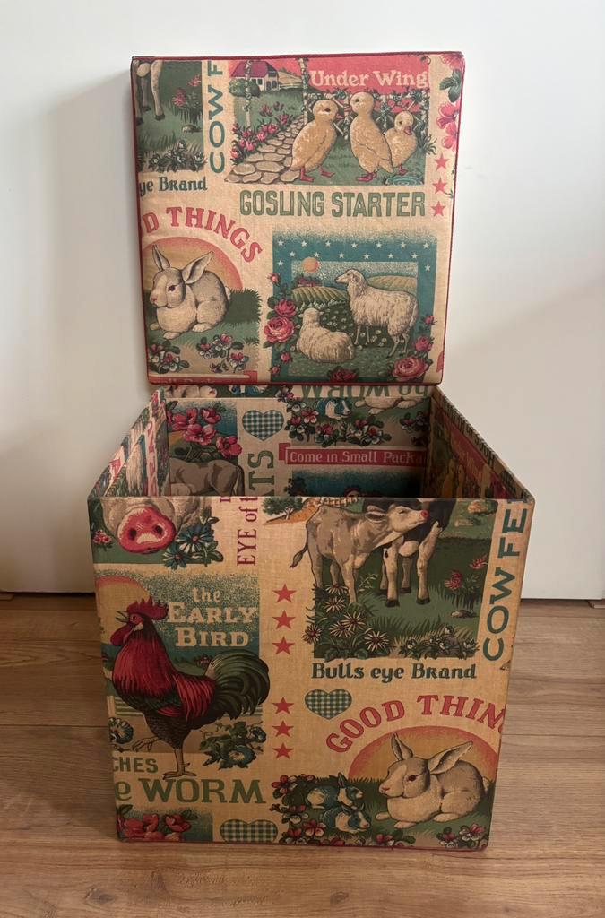 Bijzondere vintage opberg kist, Antiek en Kunst, Curiosa en Brocante, Ophalen of Verzenden