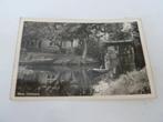 Mooi Giethoorn 1956, Ophalen of Verzenden, 1940 tot 1960, Gelopen, Overijssel