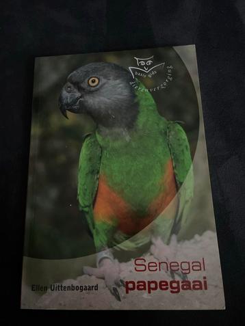 Senegal Papegaai - Basisgids Dierenverzorging beschikbaar voor biedingen