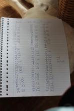 1e Jumbo plaatjesboek Kiek dat was Leeuwarden, Verzamelen, Supermarktacties, Jumbo, Ophalen of Verzenden