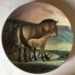 Wandbord The Pizewalski's Horse van Will Nelson wandborden, Ophalen of Verzenden, Zo goed als nieuw
