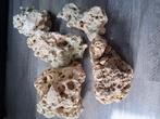 Moon stone, Ophalen of Verzenden, Zo goed als nieuw, Plant(en), Steen of Hout