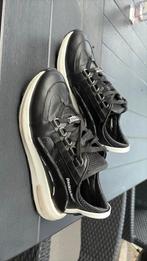 Dsquared maat 36, Kleding | Dames, Schoenen, Ophalen of Verzenden, Zo goed als nieuw, Sneakers of Gympen