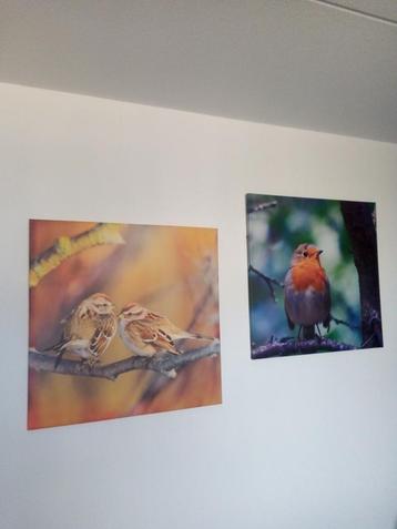 Foto print op canvas beschikbaar voor biedingen