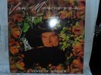 LP Van Morrison, Cd's en Dvd's, Ophalen of Verzenden, 1960 tot 1980, Gebruikt, Overige formaten