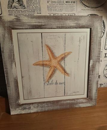 🐚 TWEE HOUTEN LIJSTEN MET ZEESTER EN SCHELPEN AFBEELDING 🐚 beschikbaar voor biedingen