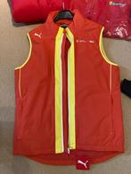 Ferrari bodywarmer gewatteerd - by Puma - maat S - heren, Verzamelen, Automerken, Motoren en Formule 1, Ophalen of Verzenden, Nieuw