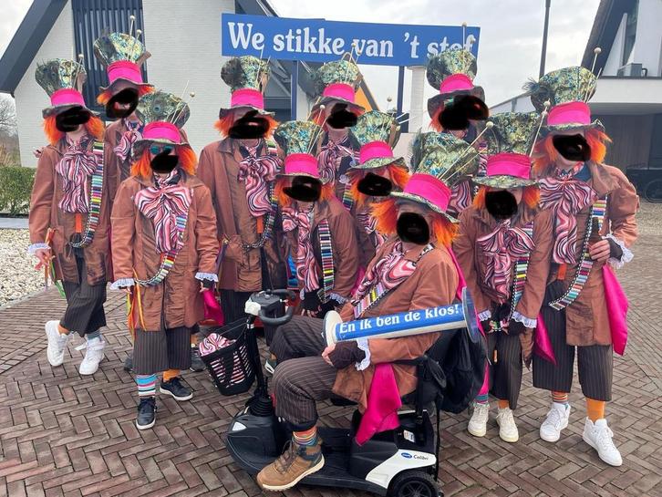 Mooi carnavalskleding voor loopgroep, Kleding | Dames, Carnavalskleding en Feestkleding, Zo goed als nieuw, Carnaval, Ophalen of Verzenden