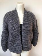 Ala Kiro by kim donkergrijs wollig wol wollen openvallend, Kleding | Dames, Truien en Vesten, Nieuw, Ophalen of Verzenden, X, Maat 36 (S)