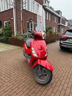 sym fiddle 2, Ophalen, Gebruikt, Maximaal 45 km/u, Benzine