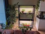 Kweekkast 6x40W LED - Spider Farmer - Zo goed als nieuw, Ophalen, Zo goed als nieuw