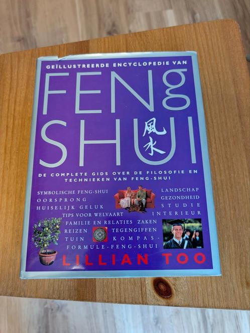 Feng Shui Encyclopedie - Lillian Too, Boeken, Encyclopedieën, Gelezen, Los deel, Overige onderwerpen, Ophalen of Verzenden