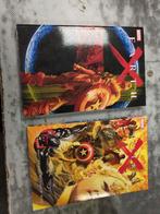 Marvel comic universe en earth, Eén comic, Ophalen of Verzenden, Zo goed als nieuw, Amerika