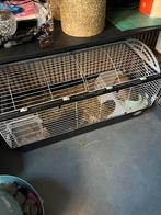Konijnen hok, Dieren en Toebehoren, 110 cm of meer, Zo goed als nieuw, Konijn, Hok