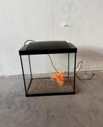 Aquarium set, Ophalen, Leeg aquarium