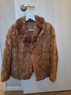 Bontjasje, Kleding | Dames, Ophalen of Verzenden, Zo goed als nieuw, Maat 38/40 (M), Carnaval