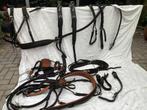 Tweespan  borsttuig  Full ( luxe uitvoering, Dieren en Toebehoren, Ophalen of Verzenden, Gebruikt, Dressuur