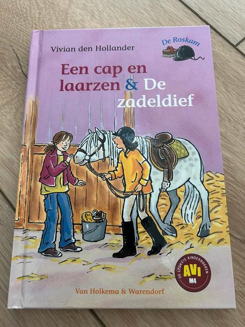 De roskam, 2 verhalen in een bundel, vivian den hollander M4, Boeken, Kinderboeken | Jeugd | onder 10 jaar, Zo goed als nieuw