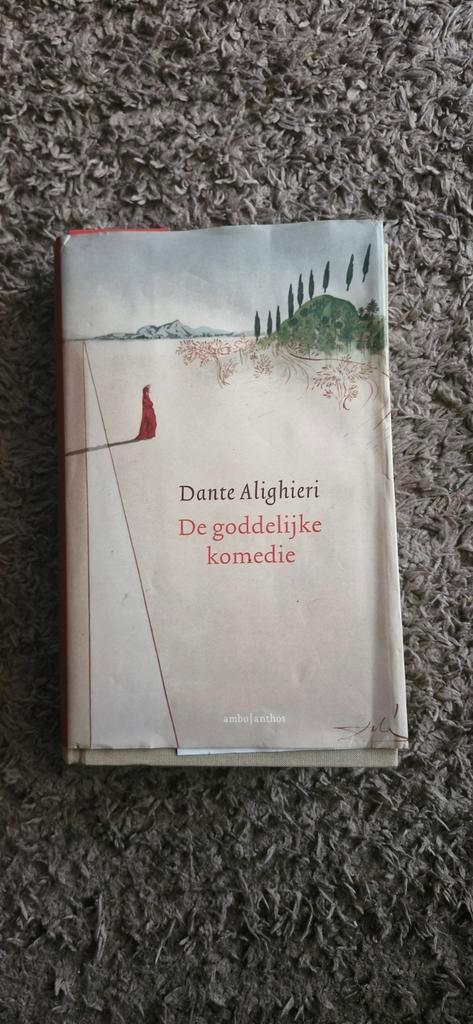 Dante Alighieri - De goddelijke komedie, Boeken, Literatuur, Zo goed als nieuw, Nederland, Ophalen of Verzenden