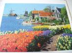 Jumbo Puzzel Zaanse schans, Hobby en Vrije tijd, Ophalen of Verzenden, 500 t/m 1500 stukjes, Zo goed als nieuw, Legpuzzel