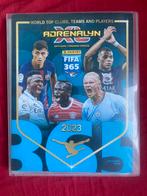 PANINI ADRENALYN FIFA 365, Hobby en Vrije tijd, Stickers en Plaatjes, Ophalen of Verzenden, Zo goed als nieuw, Meerdere plaatjes