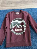 Vingino trui 152 (12), Trui of Vest, Ophalen of Verzenden, Zo goed als nieuw, Vingino