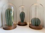 Ikea stolpen met cactussen, Ophalen of Verzenden, Zo goed als nieuw