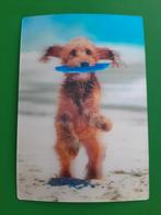 B/ Hond. 3D kaart, Verzenden, Ongelopen, Hond of Kat