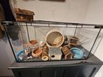 Hamsterkooi Glas+Accessoires (Dwerg)hamsterscaping, Dieren en Toebehoren, Kooi, Zo goed als nieuw, Hamster, 75 tot 110 cm