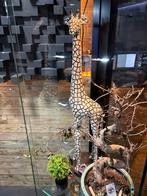 Decoratieve Giraf Zuil, Ophalen, Gebruikt, -, -