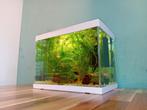Mooi klein tropisch aquarium voor b.v. guppies., Dieren en Toebehoren, Vissen | Aquaria en Toebehoren, Ophalen, Zo goed als nieuw