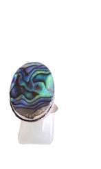 zilveren ring Abalone schelp,, Overige kleuren, Verzenden, 19 tot 20, Nieuw
